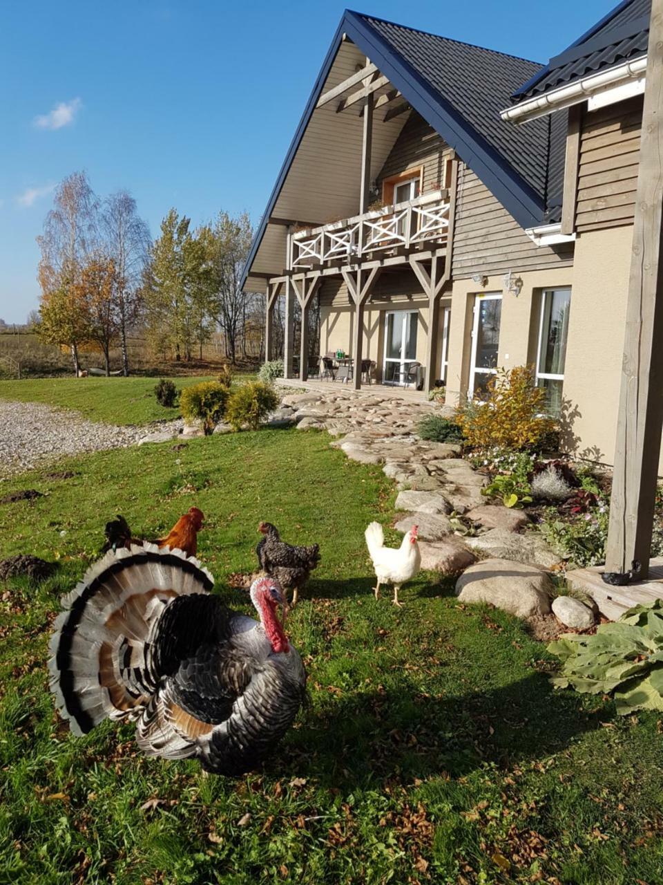 Villa Cheval Aukštadvaris Extérieur photo